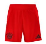 Bayern Munich 2024/2025 – Image 7