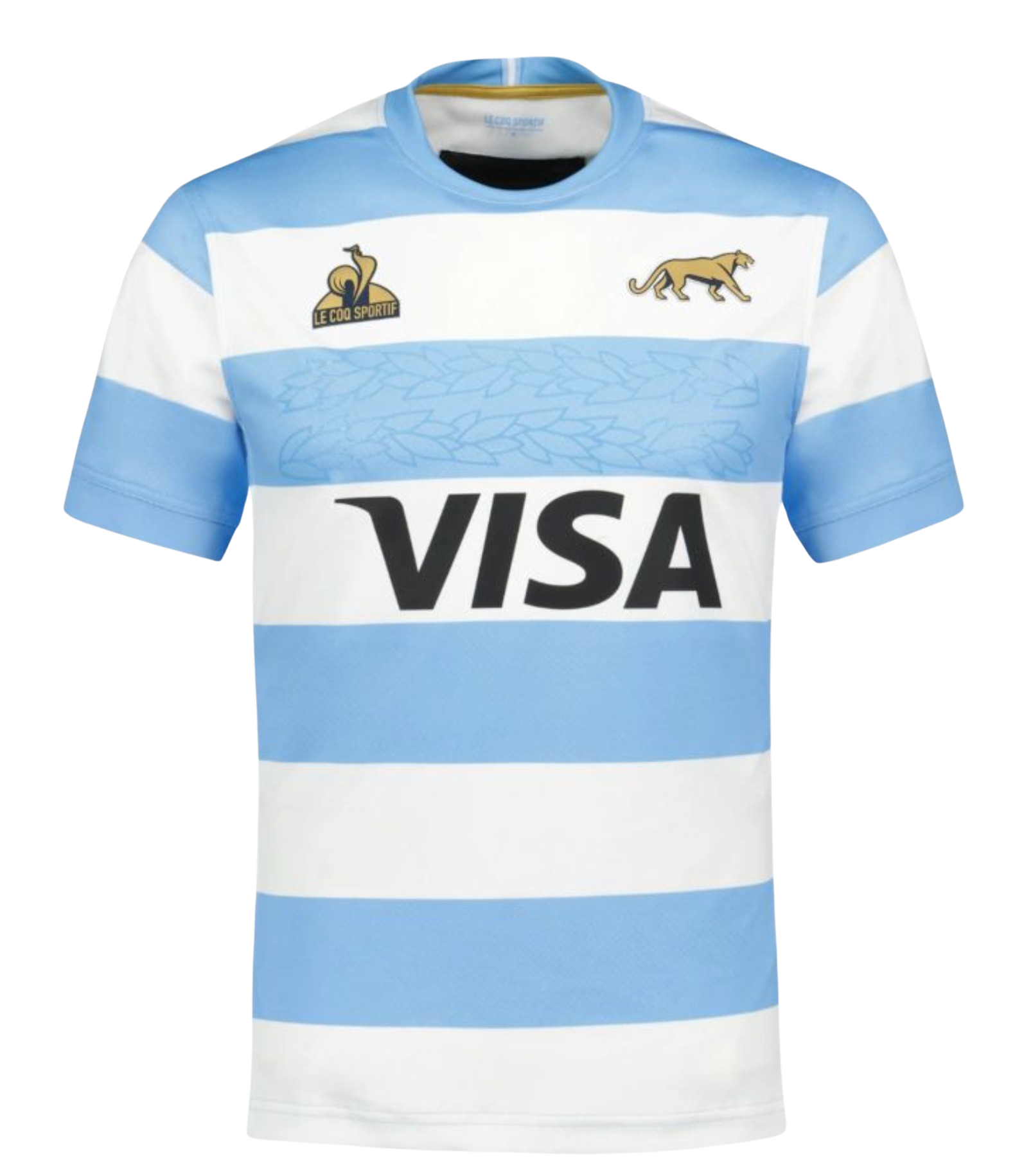 de0dc2_cc47262d18d24e7b85f2130057453272mv2.png Argentine Rugby 2024/2025 – Image 1